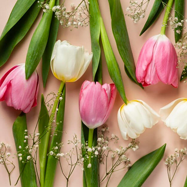 Tulips For Mom