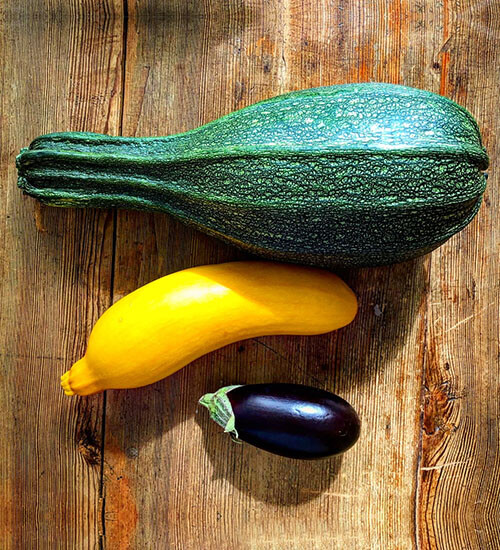 Delicious Spring Vegetables Squash