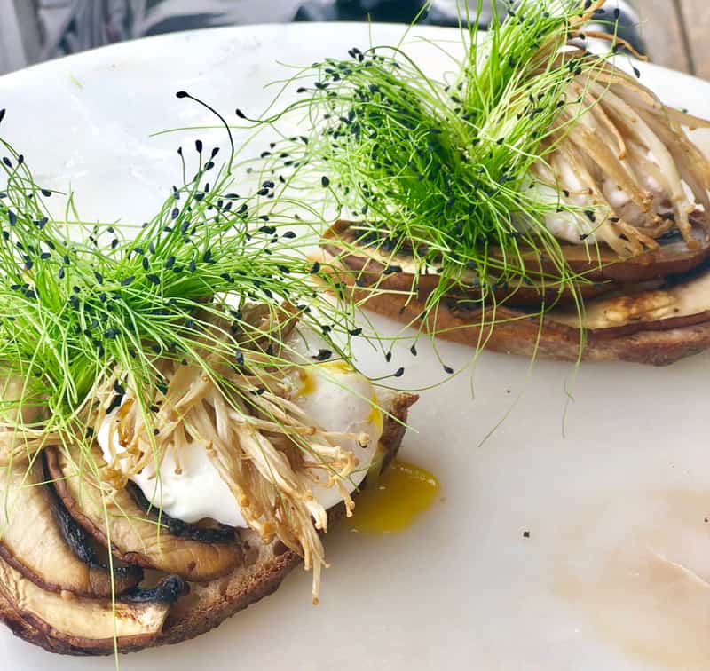 Mushrooms and garnish