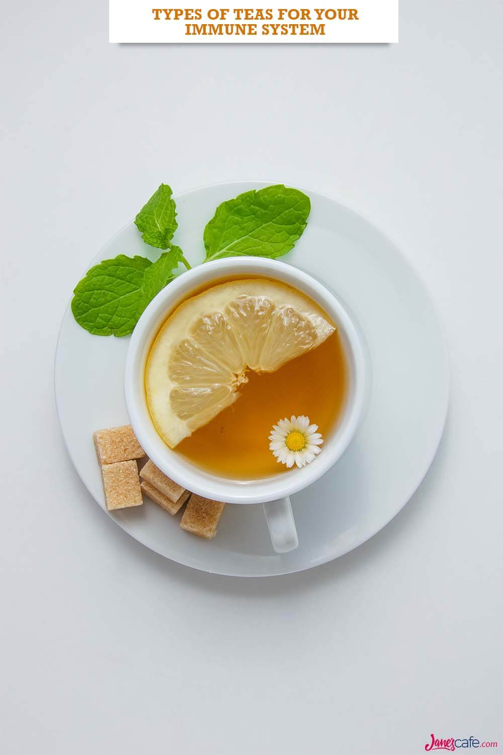Types Of Tea For Your Immune System
