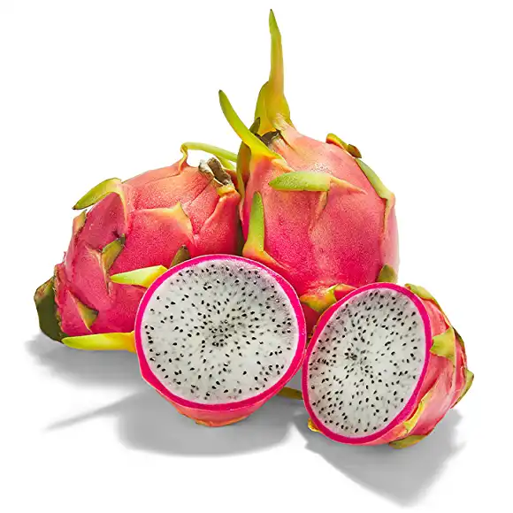 Tropical Dragon Fruit