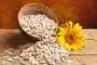 Are Sunflower Seeds Good for You?